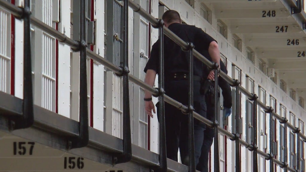 More than two dozen Georgia prisons on lockdown over security concerns following inmate fight — Peachtree Corners Health news