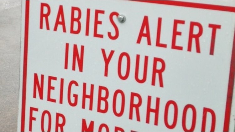 Positive rabies alert issued in Hall County after dog tests positive — Peachtree Corners Community news